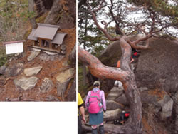 111106羅漢寺山・昇仙峡