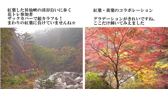 111106羅漢寺山・昇仙峡