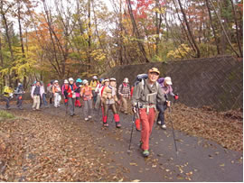 111106羅漢寺山・昇仙峡