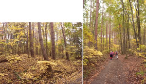 111106羅漢寺山・昇仙峡