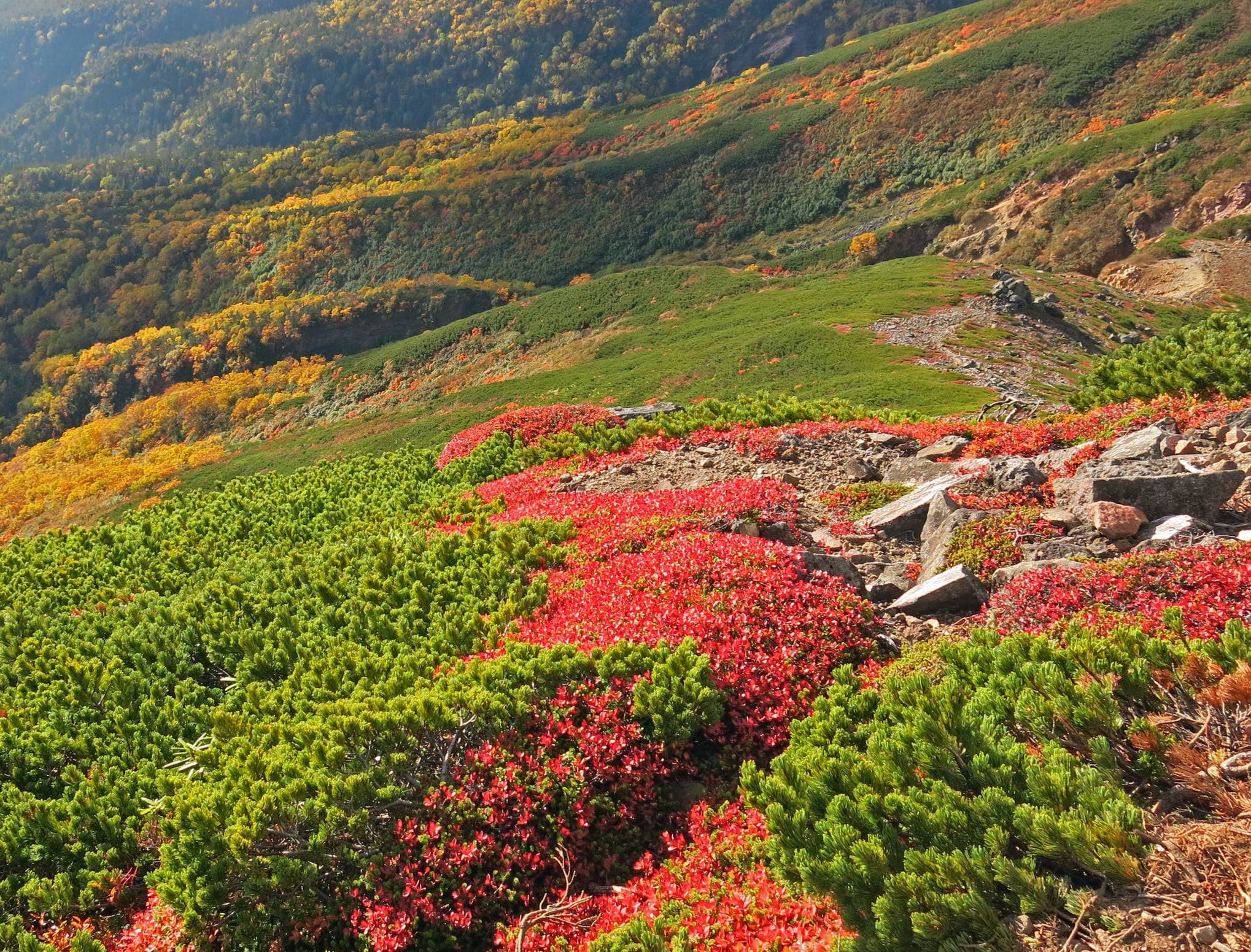 標高の高い山ではそろそろ紅葉が始まる季節ですね！