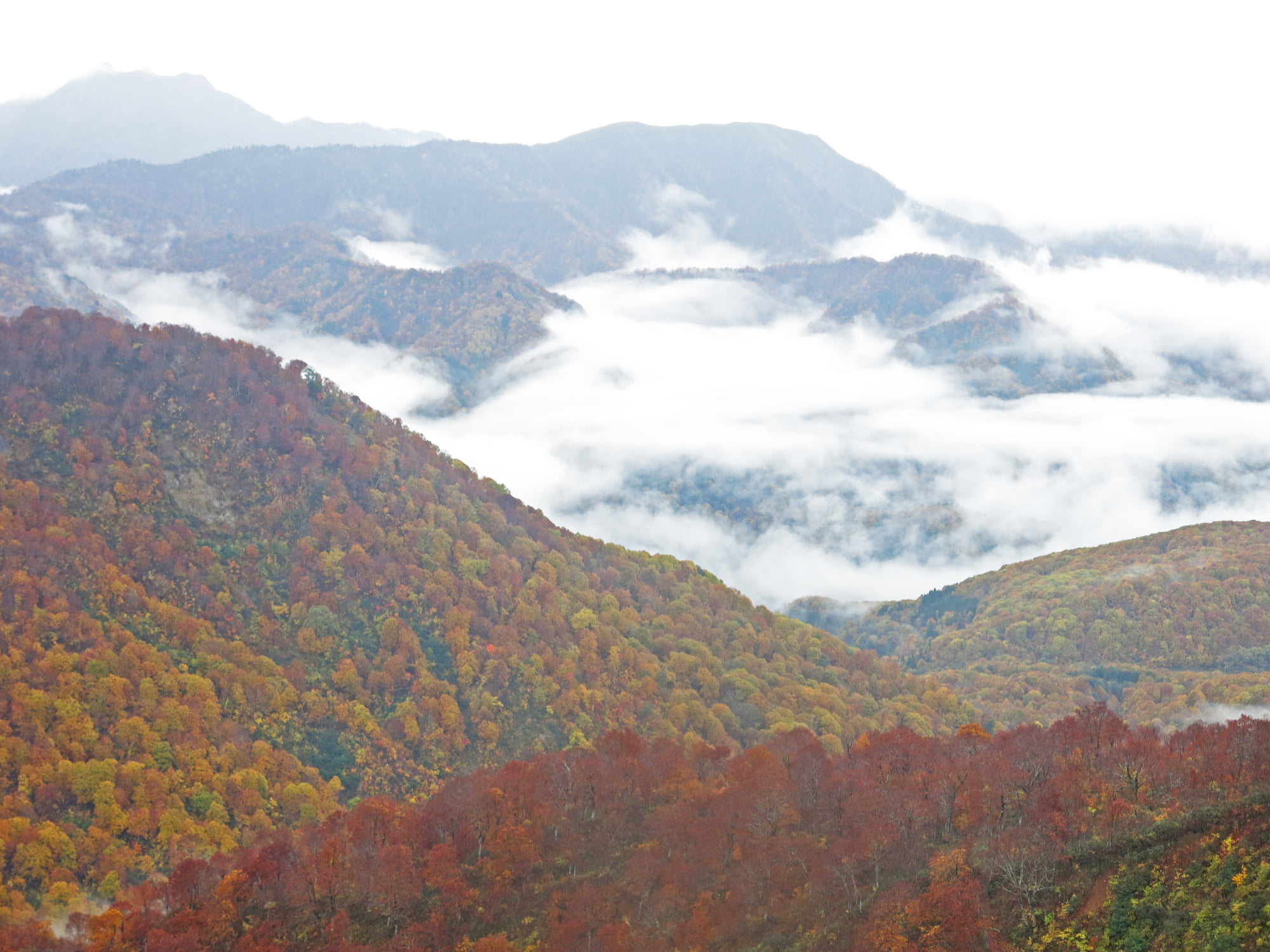 2020.10.22-23、雨飾山に行ってきました☆（その2）
