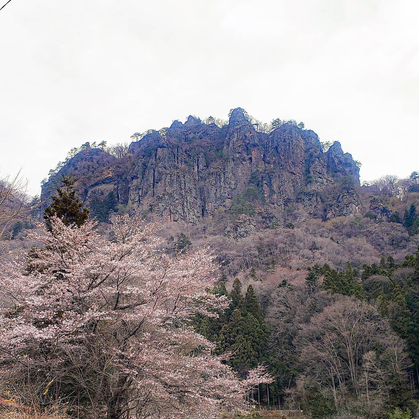 先日のお休みに岩櫃山へ行ってきました