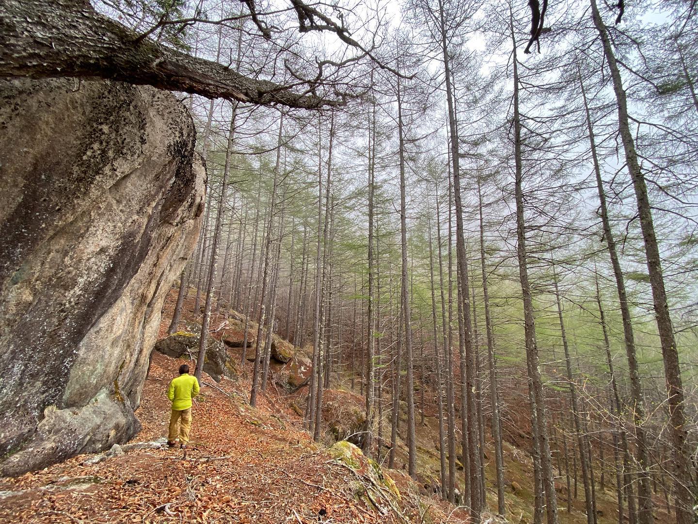 先日のお休みは瑞牆ボルダーに行ってきました