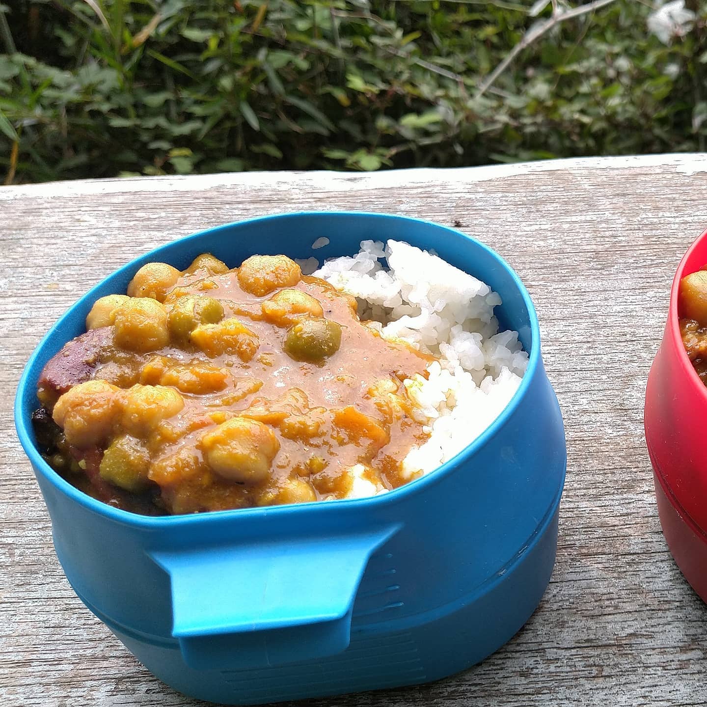 木漏れ日登山と山頂カレーを堪能してきました！