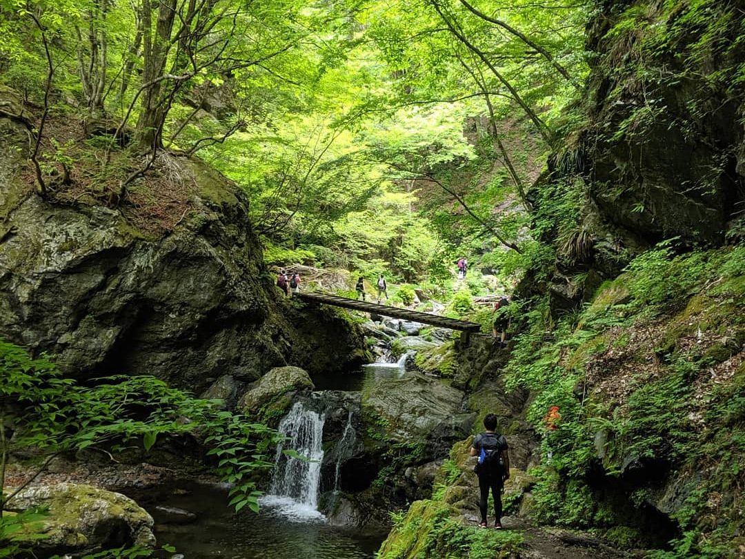 5/18レポート 山の講習会スペシャル編～川苔山～
