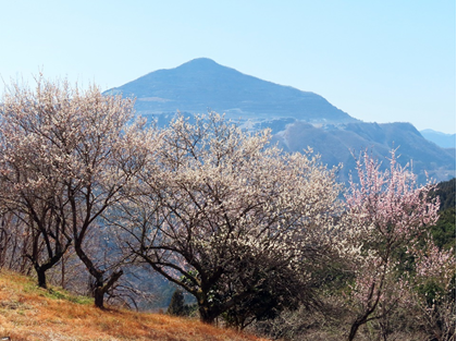 暖かくなってきましたね～＼(^o^)／　春ですね～✤✤✤