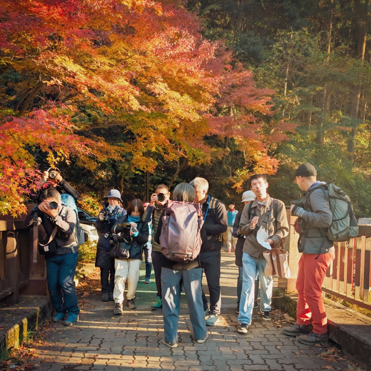 【YYレポート】奥多摩の鳩ノ巣渓谷で「フォトハイク」 【YYレポート】奥多摩の鳩ノ巣渓谷で「フォトハイク」