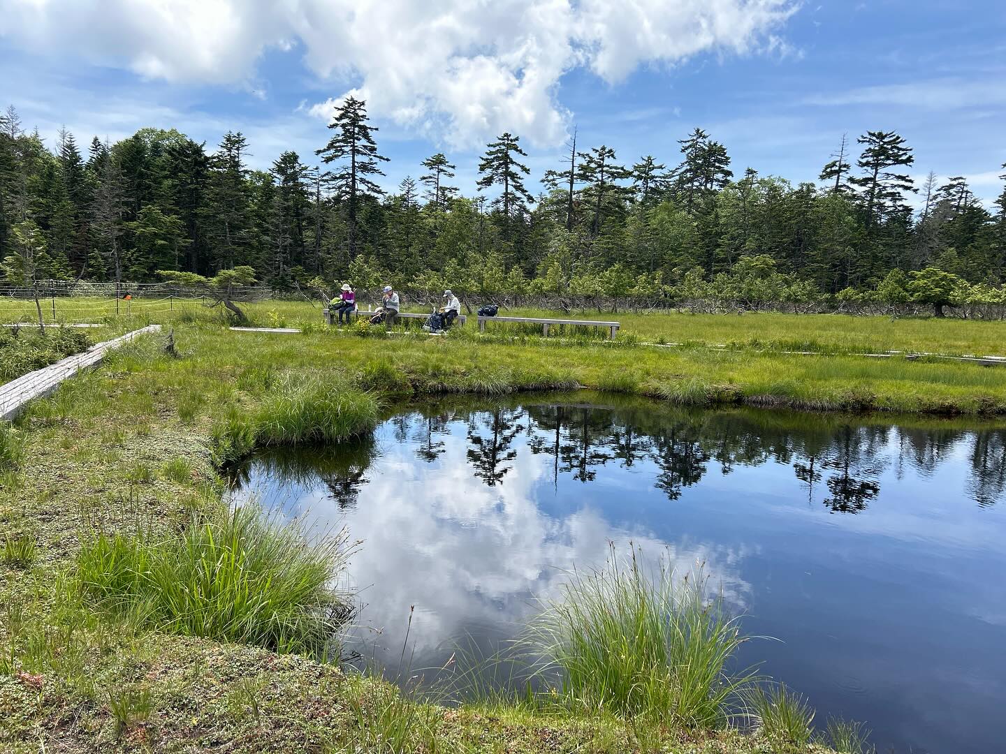 【YYレポート】yama楽で鬼怒沼湿原