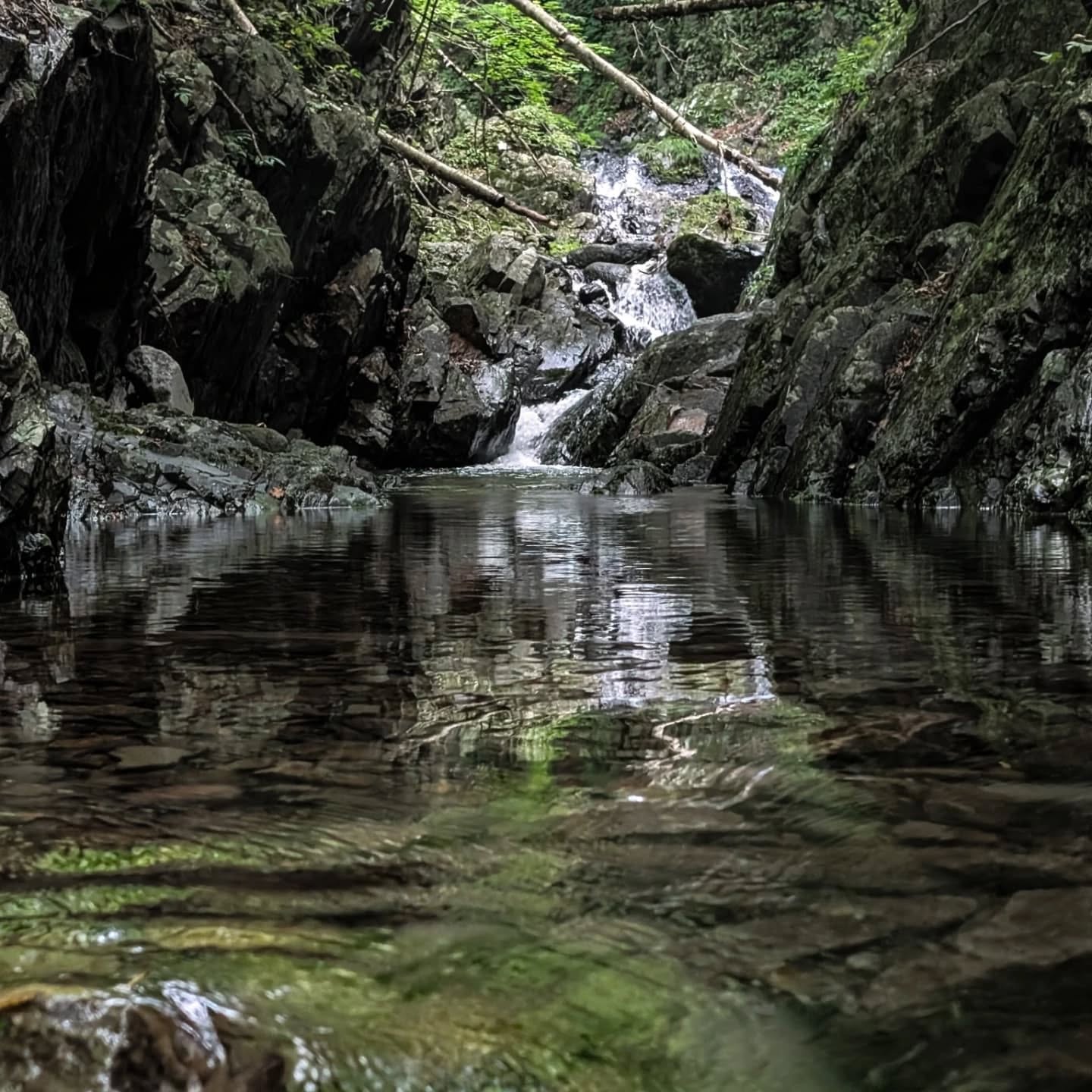 【スタッフレポ】群馬県の袈裟丸山