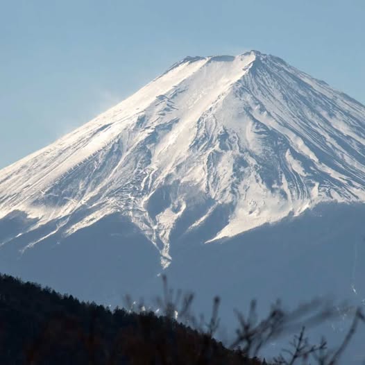 【お知らせ】yama楽ハード《清八山・本社ヶ丸》2026.1.18 【お知らせ】yama楽ハード《清八山・本社ヶ丸》2026.1.18