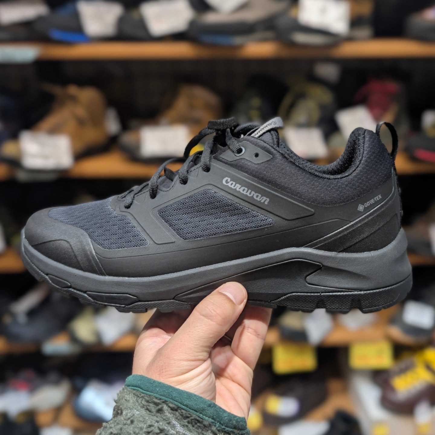 【商品紹介】キャラバン C1_DL LOW 【商品紹介】キャラバン C1_DL LOW