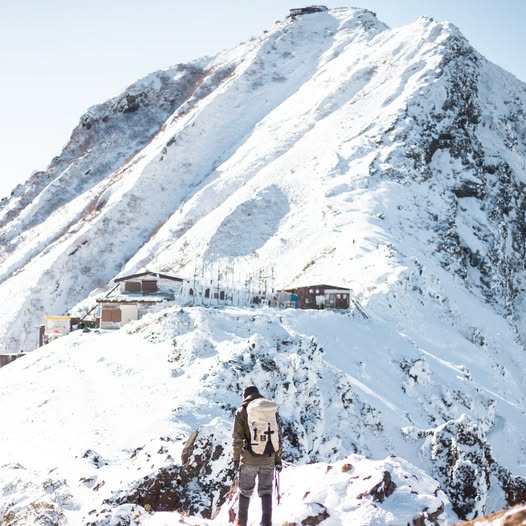 【お知らせ】年始のご挨拶 【お知らせ】年始のご挨拶