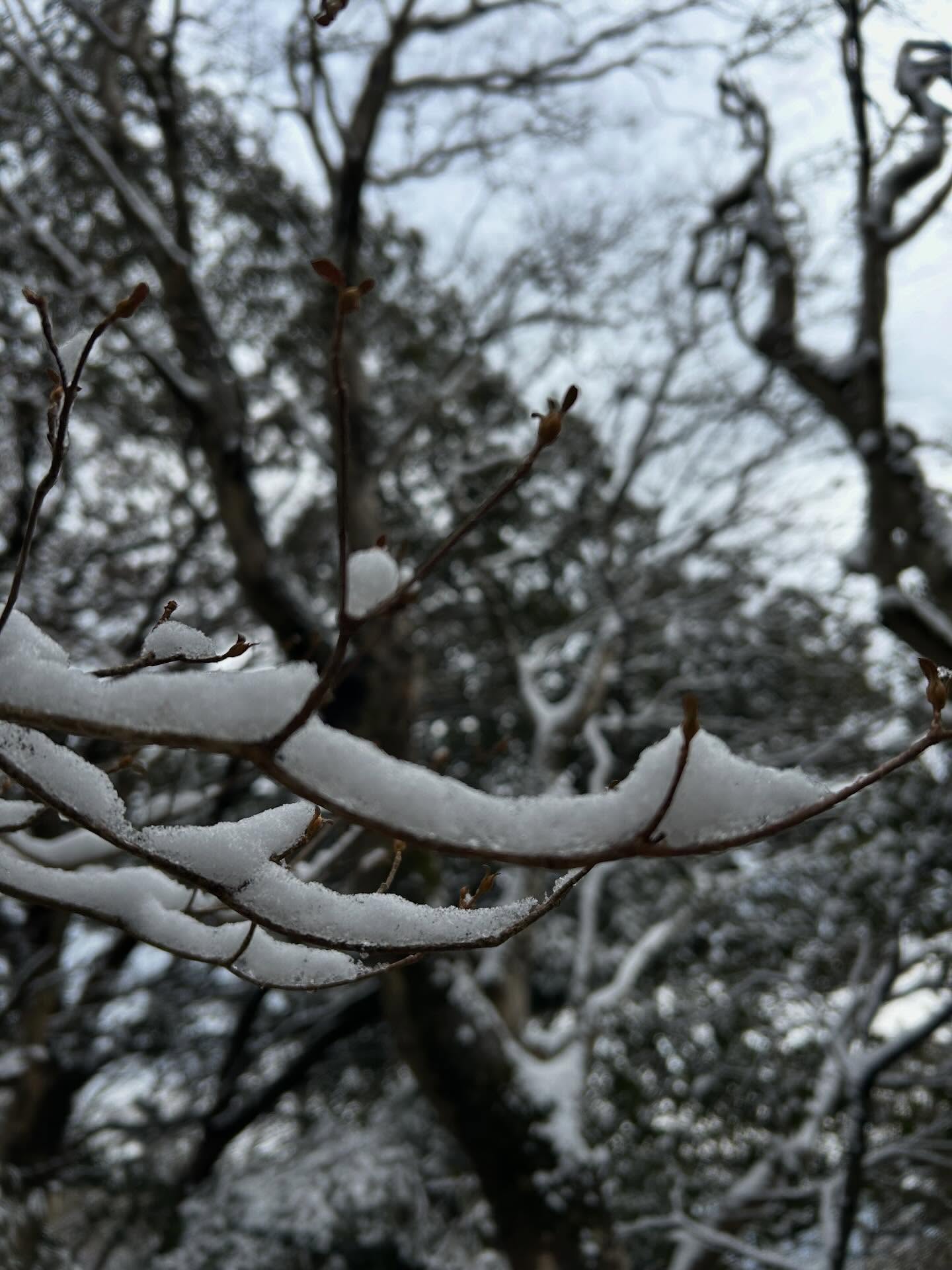 【スタッフレポ】筑波山に行って来ました 【スタッフレポ】筑波山に行って来ました