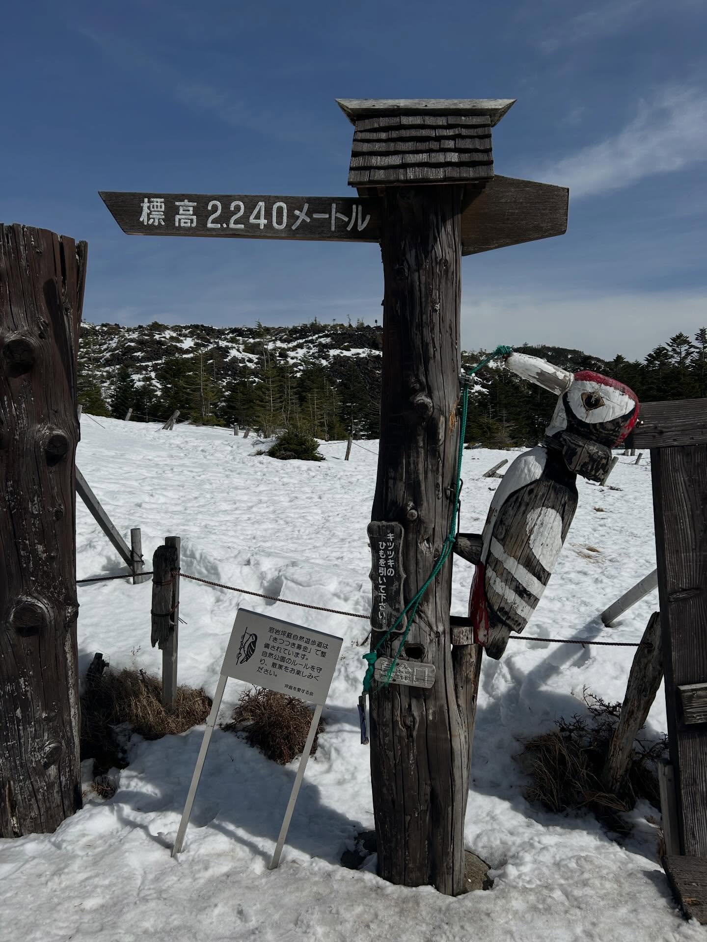 【スタッフレポ】北横岳に行って来ました 【スタッフレポ】北横岳に行って来ました
