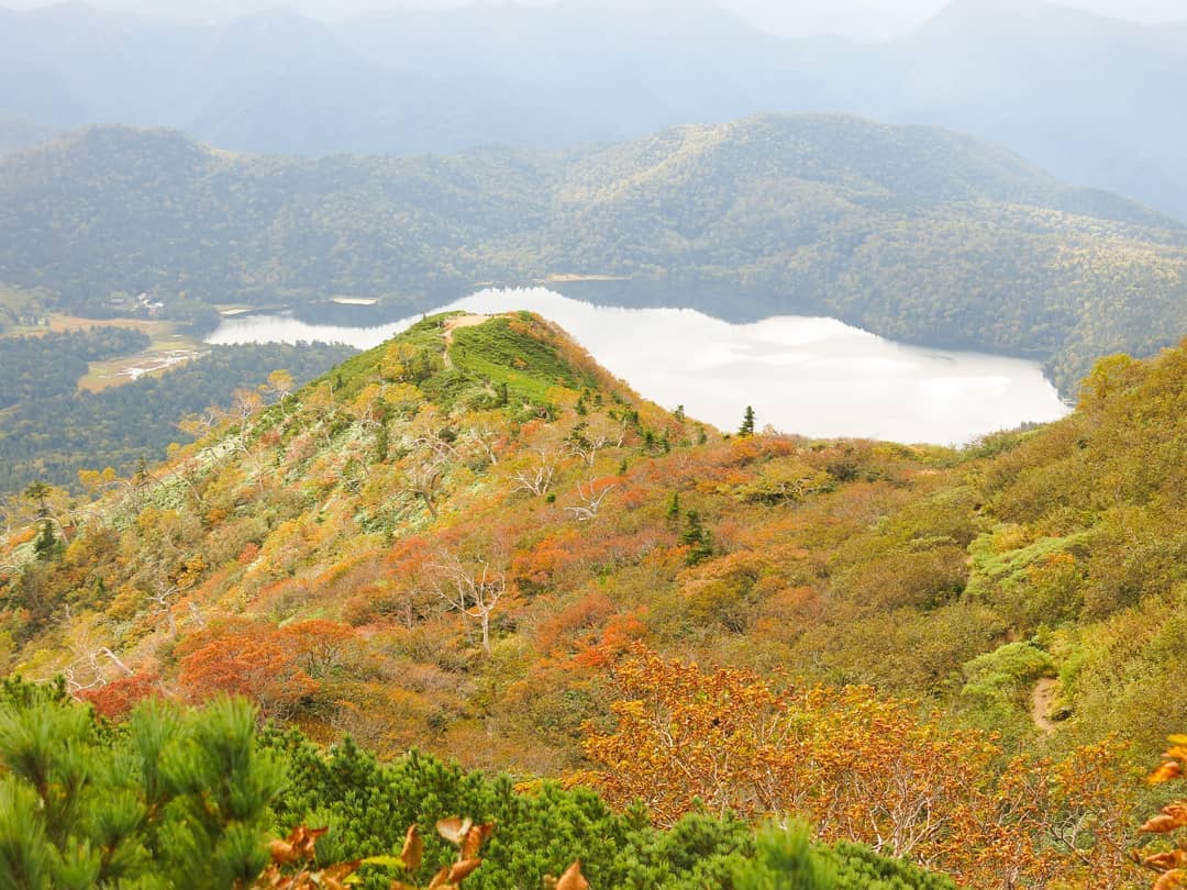 秋の兆し、色づく紅葉「JOYトレイル・燧ヶ岳編」