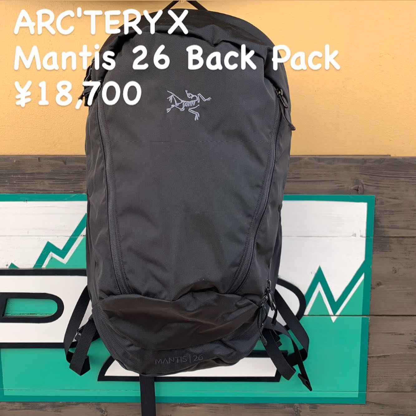 日帰りハイキングやデイリーユースにも使える、汎用性の高いデイパックです