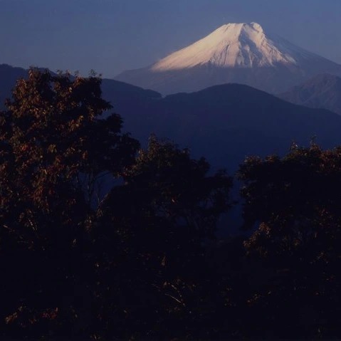 yama楽はヨシキ＆P2所属のガイド資格を持つスタッフがご案内する現地集合型の登山ツアーです。