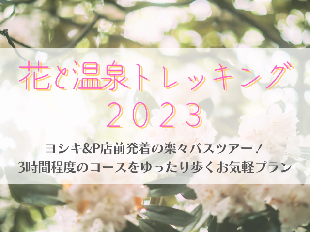 【終了】2023.10.29 花と温泉トレッキング《三頭山》(H10)