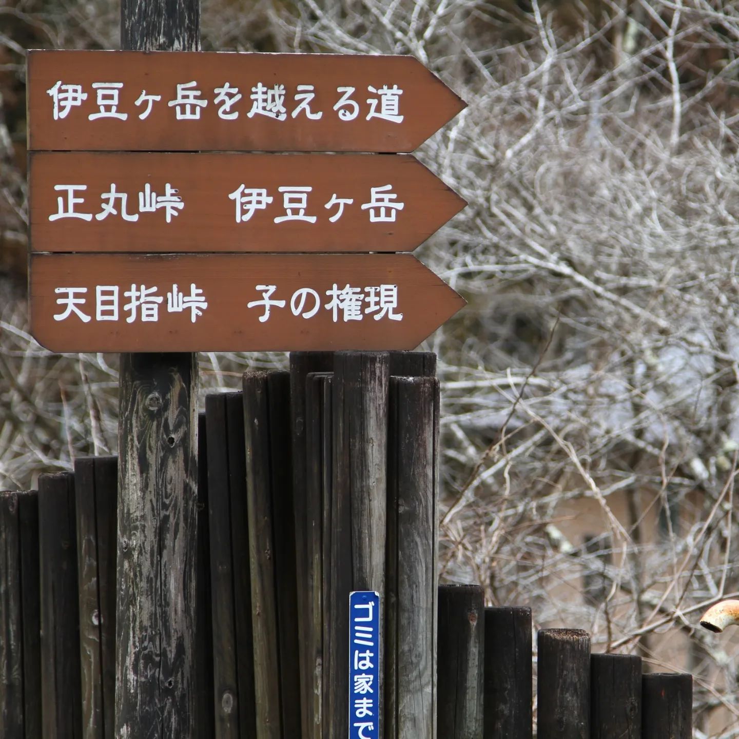2/19にyama楽で伊豆ヶ岳へ行ってきました。