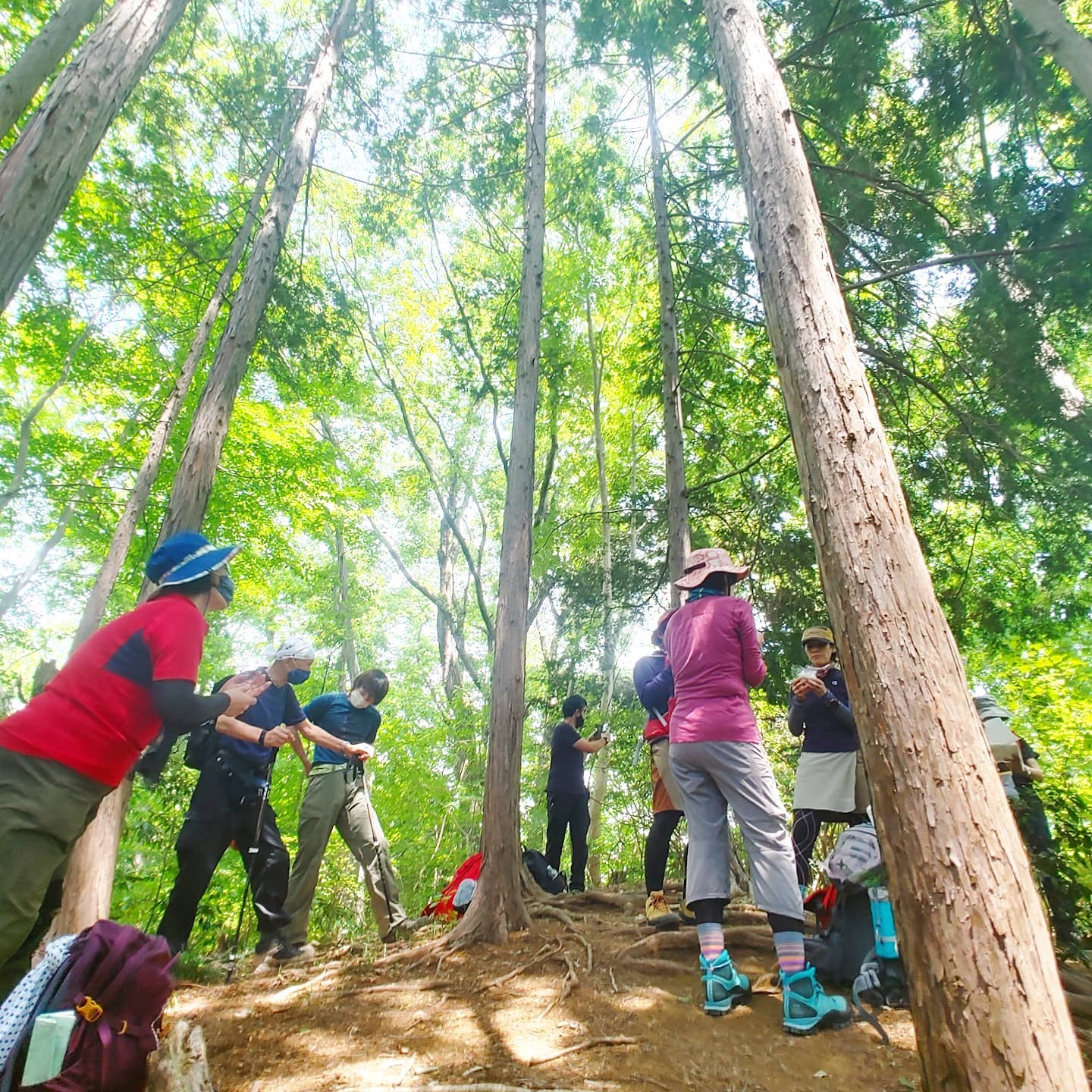 先日山の講習会入門編で南高尾山陵へ行ってきました。