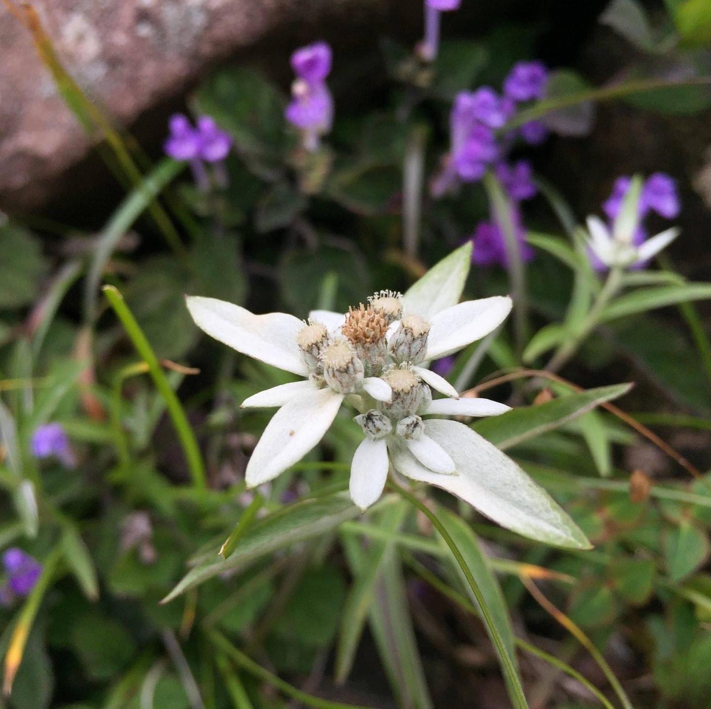 赤城山 地蔵岳（標高1674m）はファミリーにも親しまれ赤城の大展望が楽しめる山です