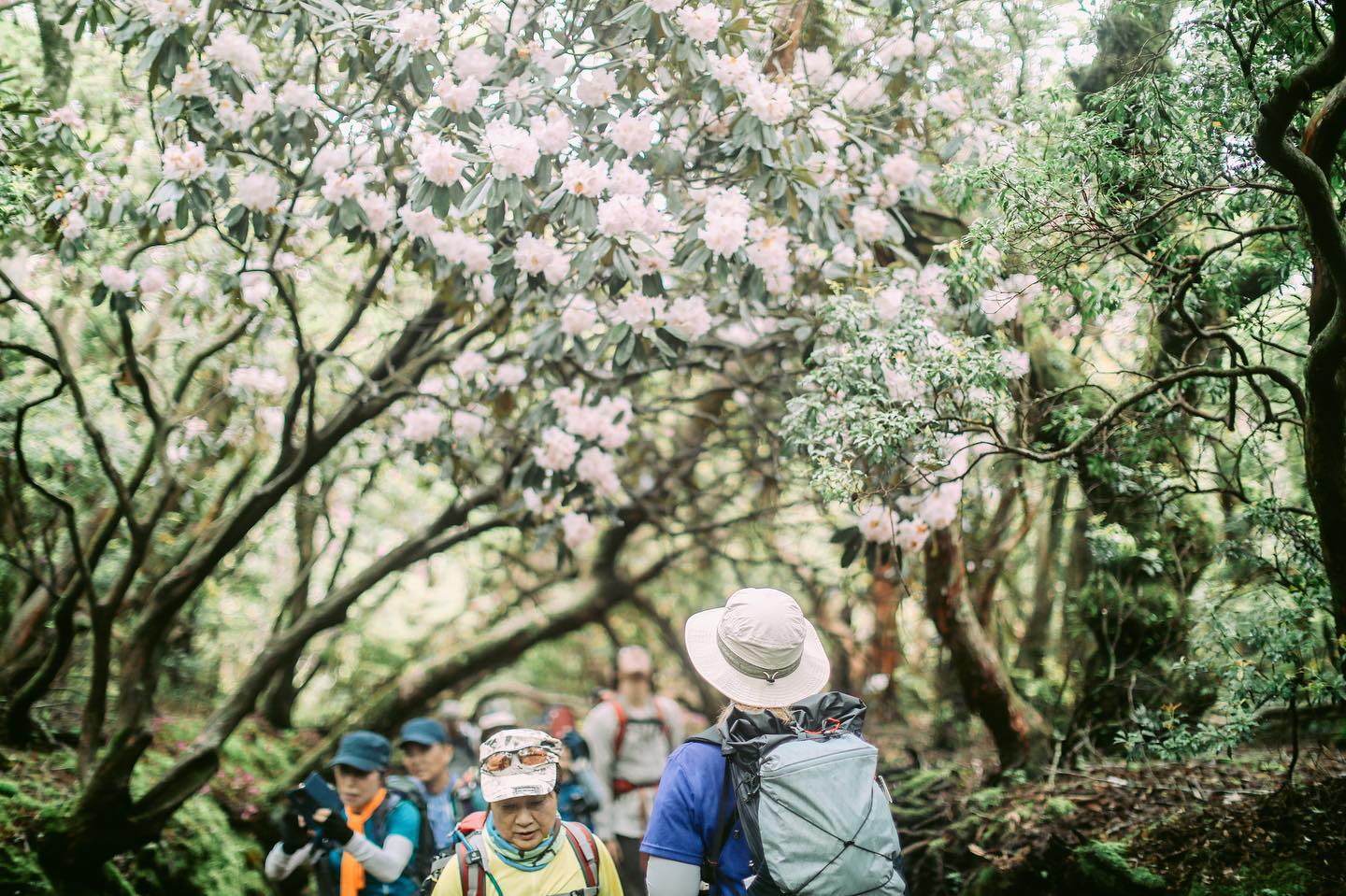 5月21日に花の名所として知られる伊豆半島は天城山へ出かけてきました。