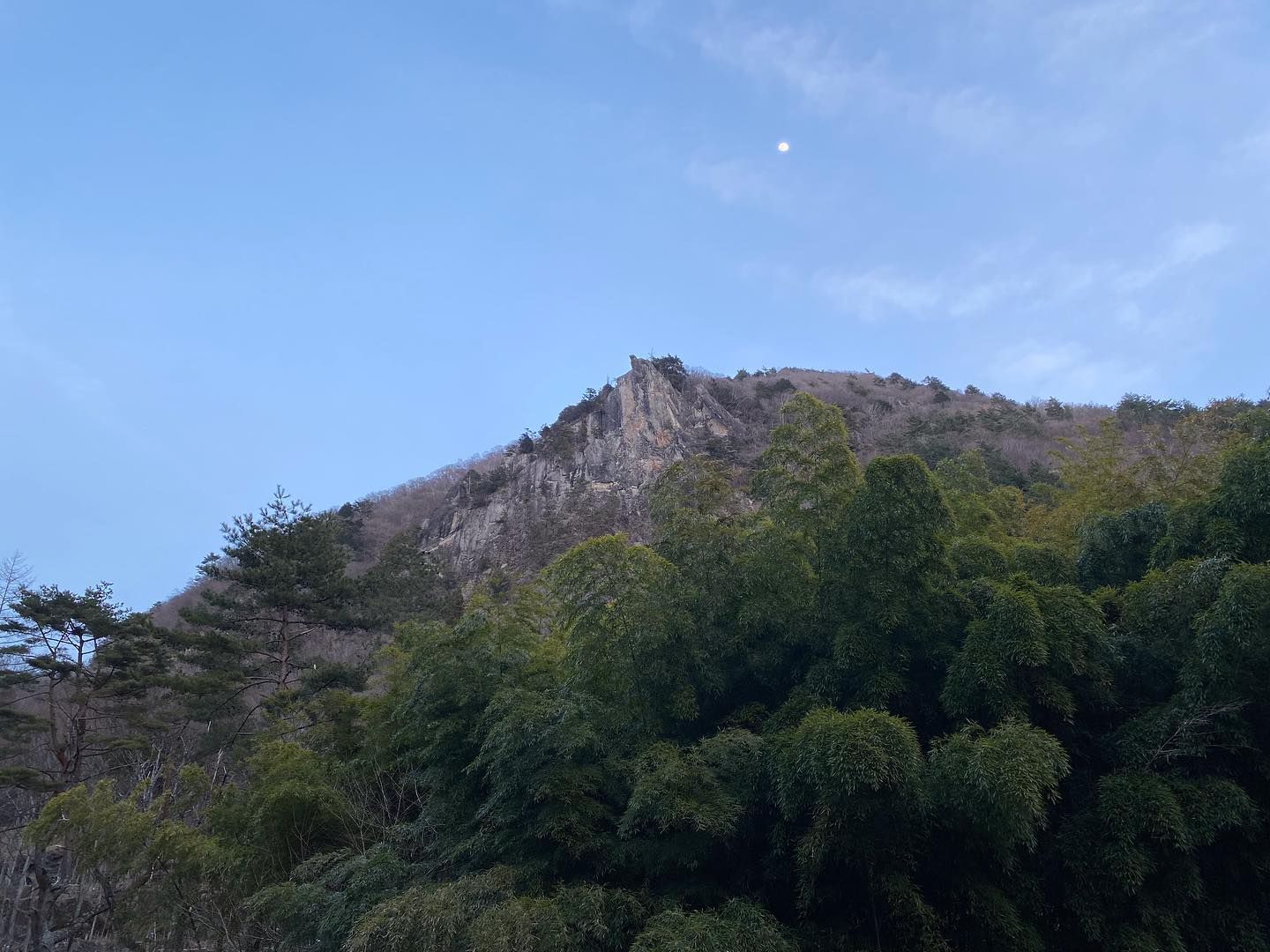 先日のお休みは太刀岡山へクライミングに行ってきました。
