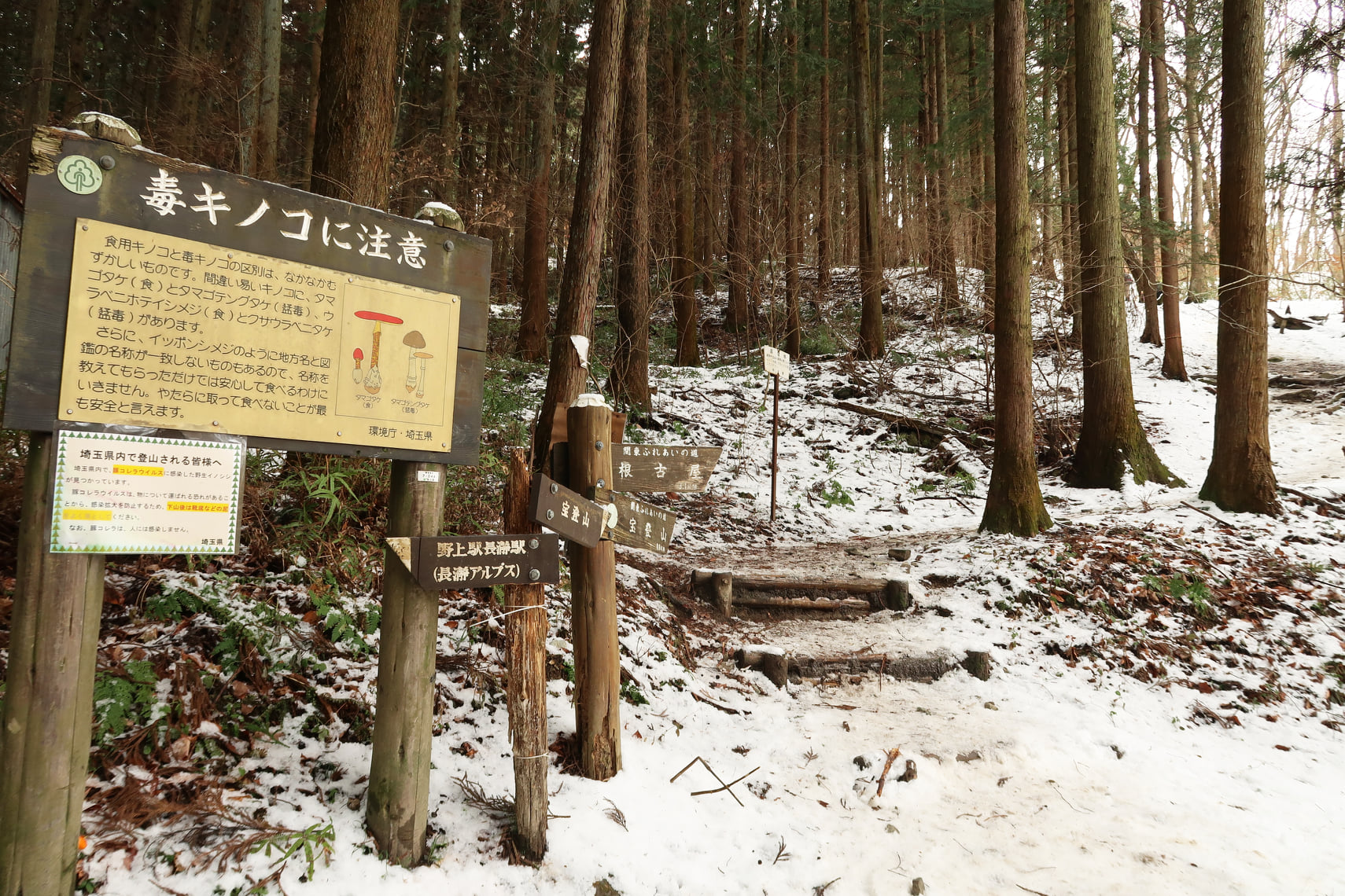 先日、雪山(？)長瀞アスプス宝登山に行ってきました(^_-)-☆