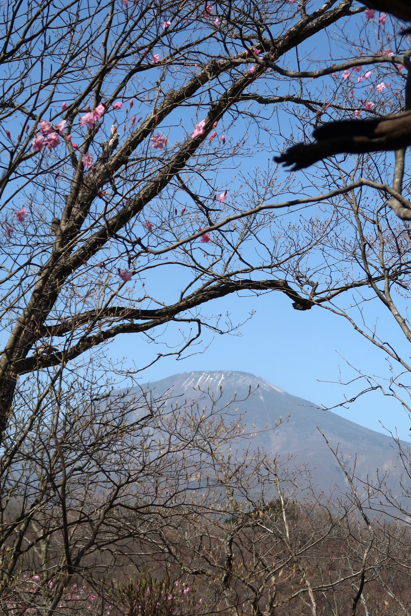 先日YYクラブイベント「yama楽」の下見で「日光/鳴虫山」に行ってきました。