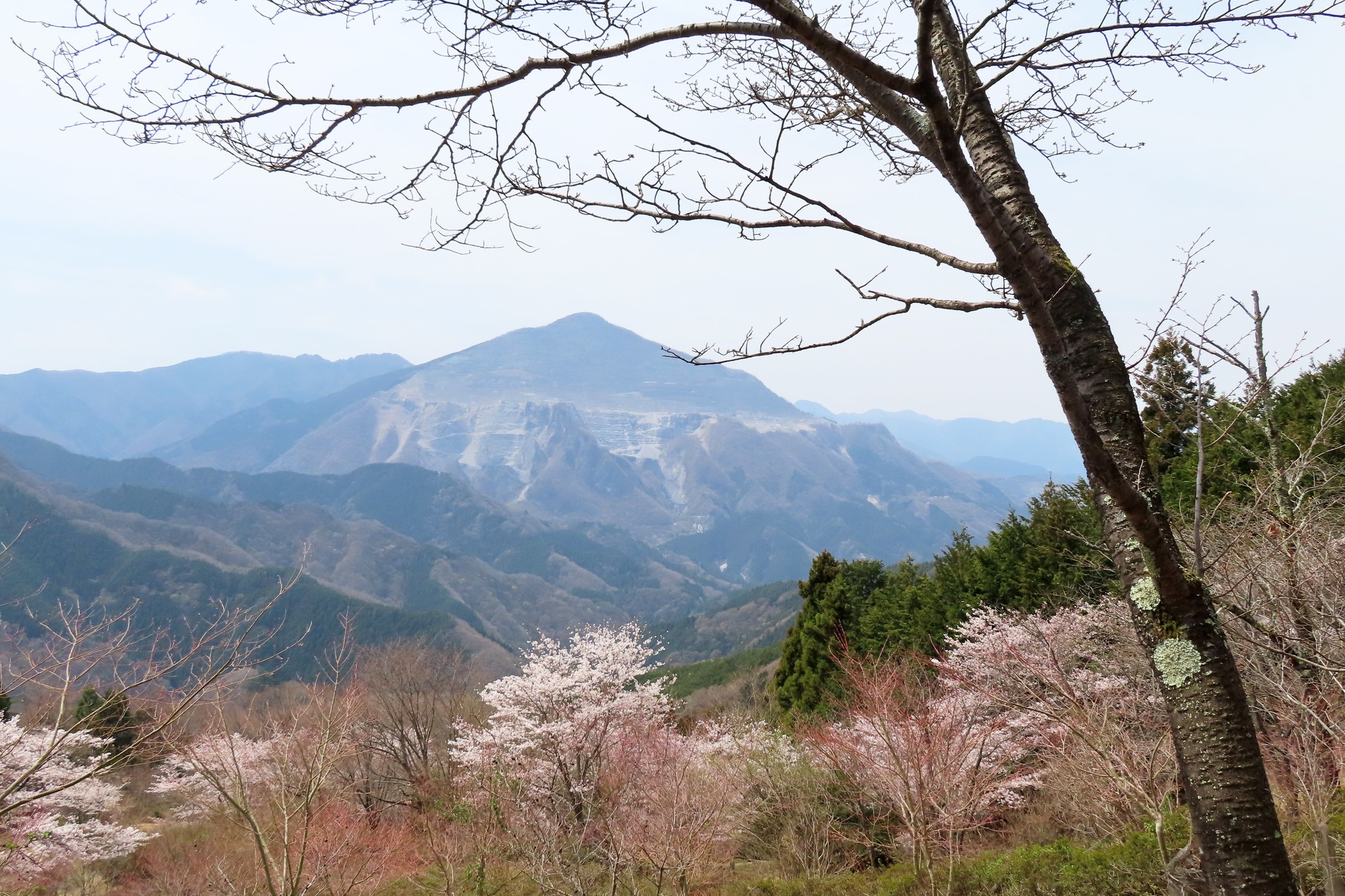 先日、芦ヶ久保の日向山に行ってきました。