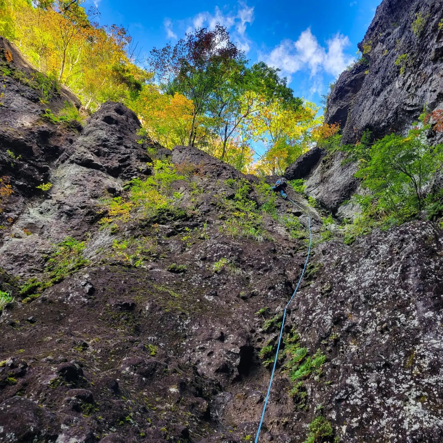 秋になったら妙義山に行くことが多くなりますが連続で妙義山です。